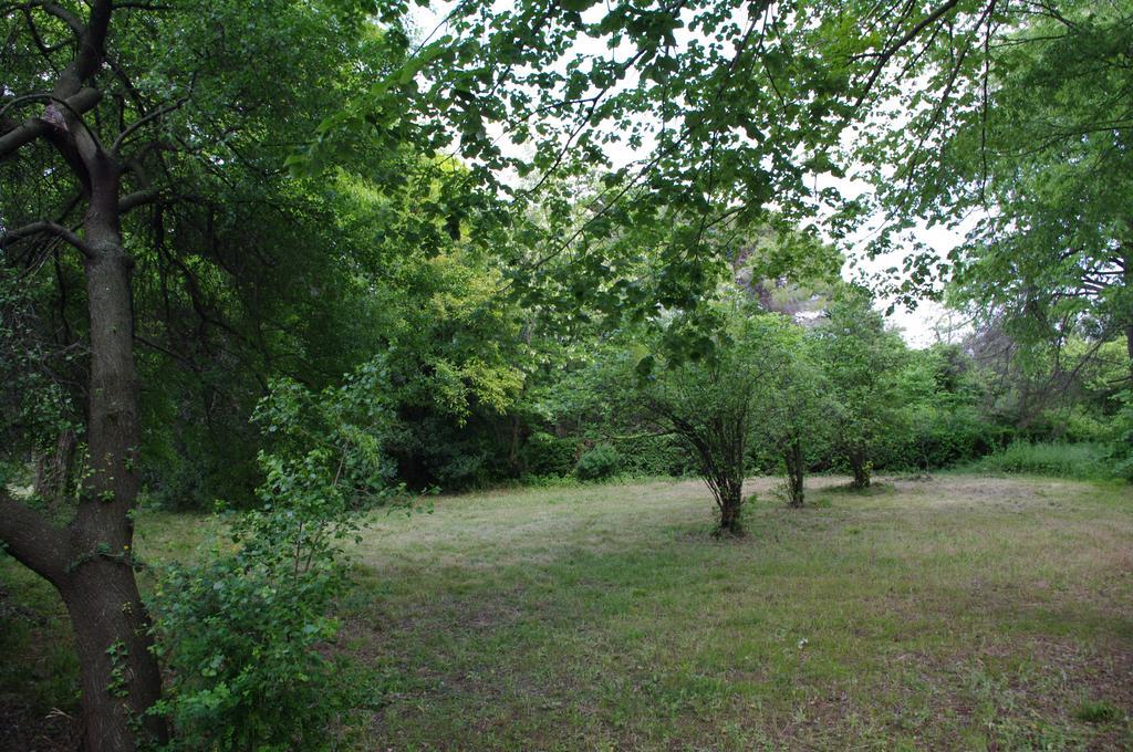 Chateau Le Vergel Authenac Ginestas Ruang foto