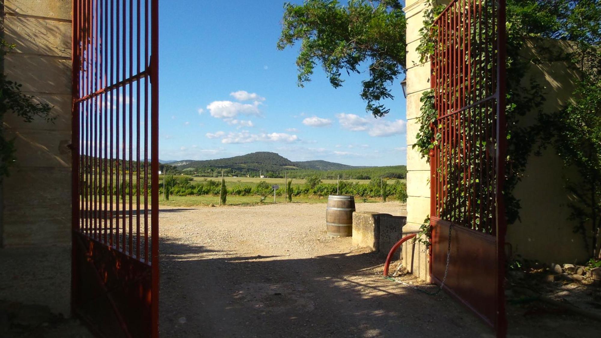 Chateau Le Vergel Authenac Ginestas Ruang foto