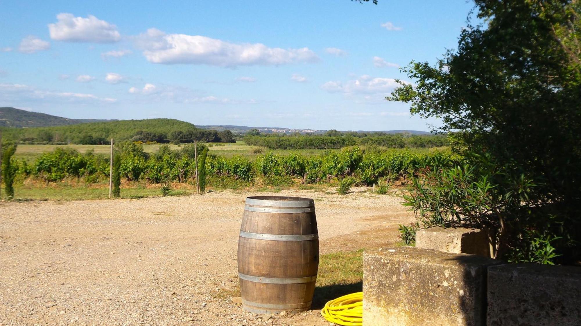 Chateau Le Vergel Authenac Ginestas Ruang foto